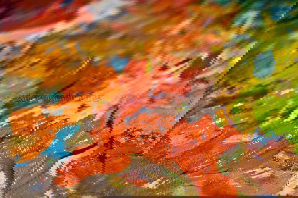 Image, Stock Photo watercolour box with brush 1