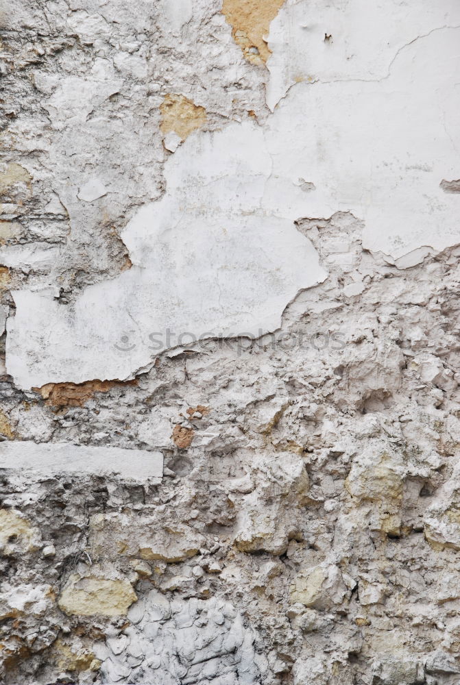 Similar – Image, Stock Photo Bride’s rest. Art Esthetic