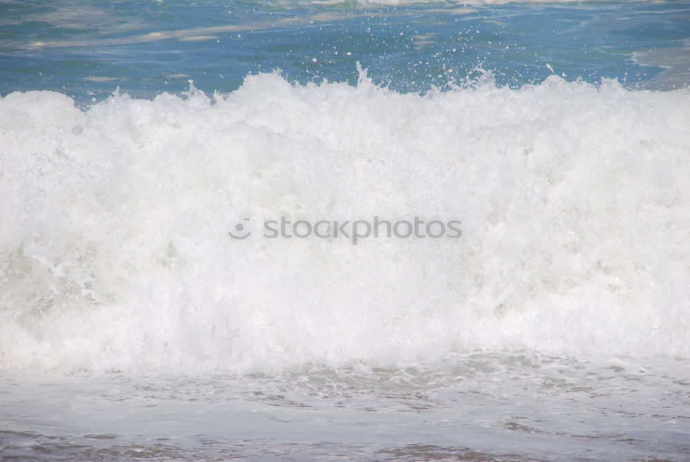 Similar – Image, Stock Photo the perfect wave Joy Life