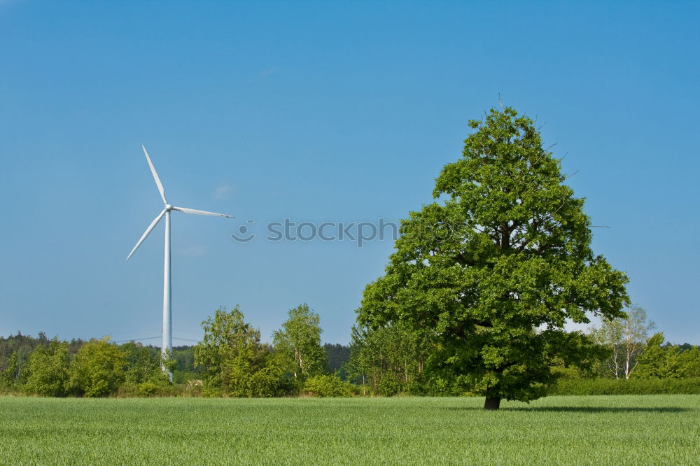 Similar – Image, Stock Photo energy unrest