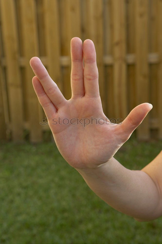 Similar – Statue of white deer on finger.