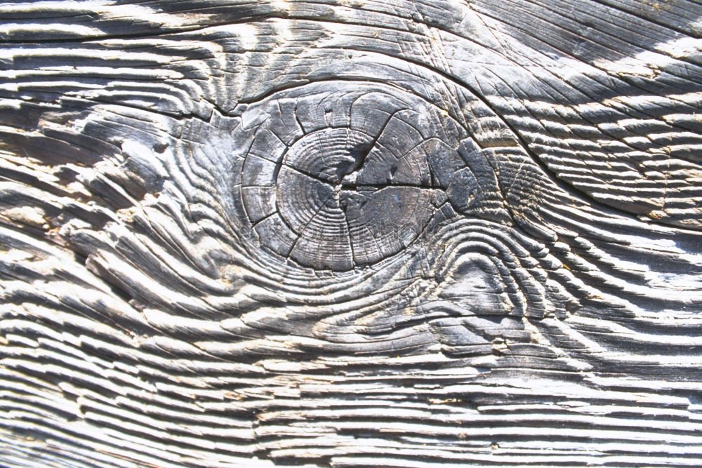 Old heart shaped door lock on a blue wooden door