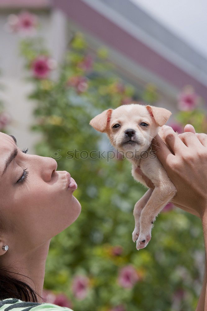 Similar – Image, Stock Photo Sexy young woman at home playing with her dog