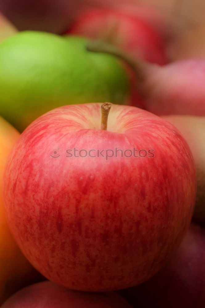 Similar – Image, Stock Photo thanks to good harvest