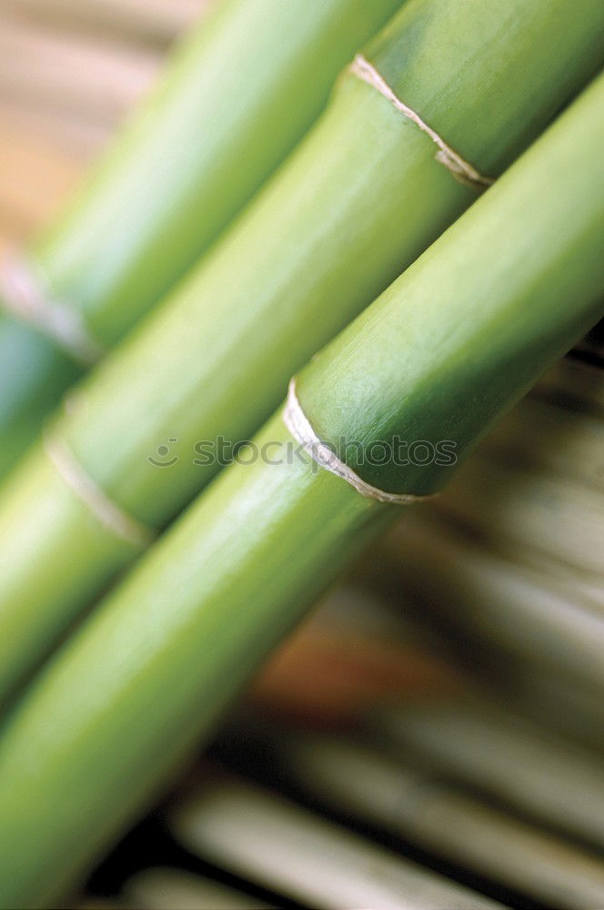 Similar – leek Q Food Vegetable