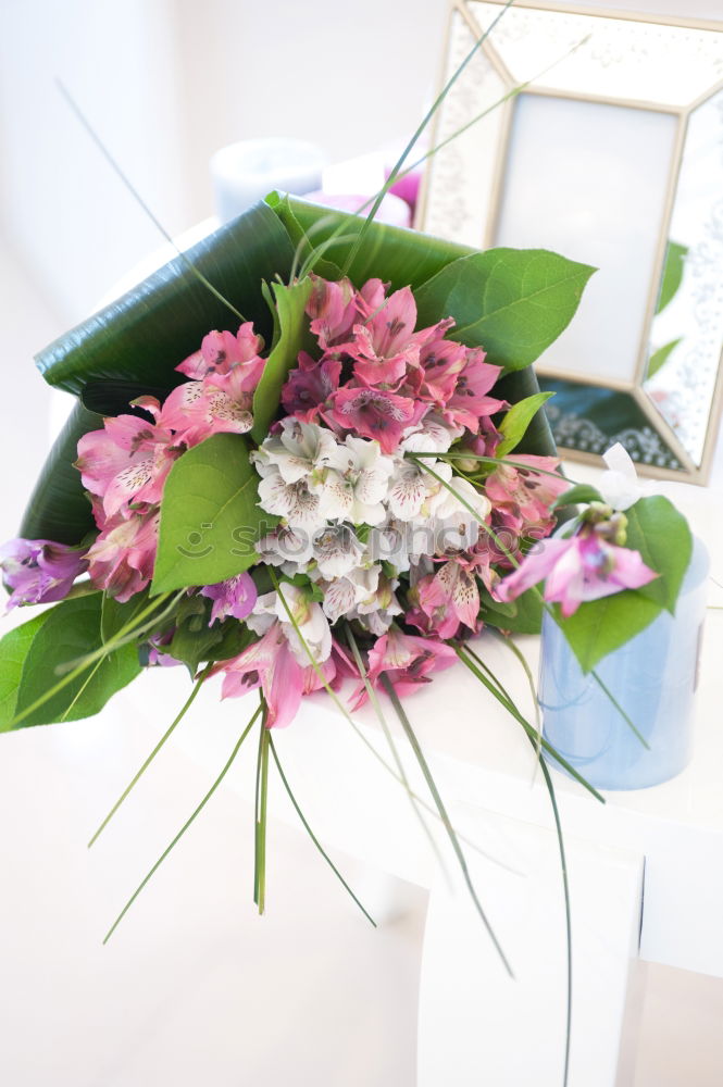Similar – Image, Stock Photo welcome wreath Wreath