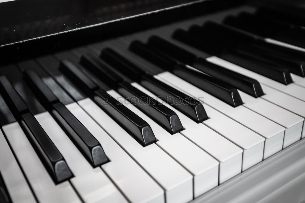 Similar – Image, Stock Photo Double Organ 2 Piano