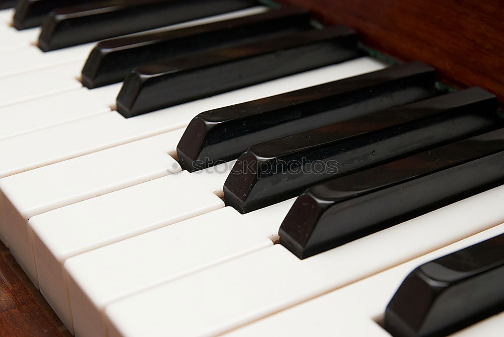 Similar – Image, Stock Photo Double Organ 2 Piano