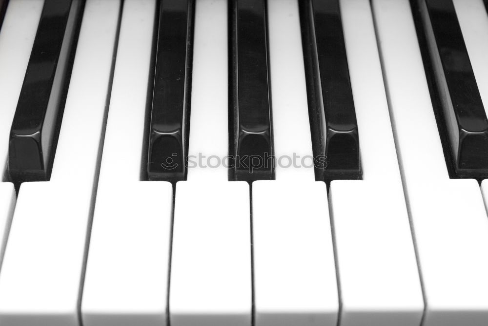 Similar – Image, Stock Photo mon piano Keyboard Piano