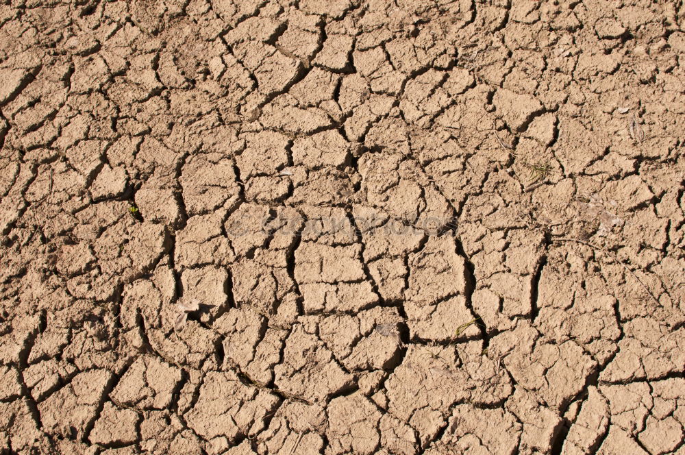 Similar – yellow tennis ball on the dessert ground