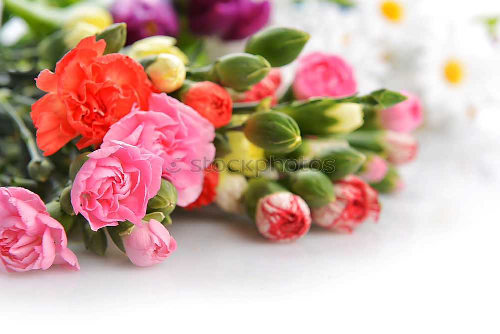 Similar – Bouquet with card Elegant