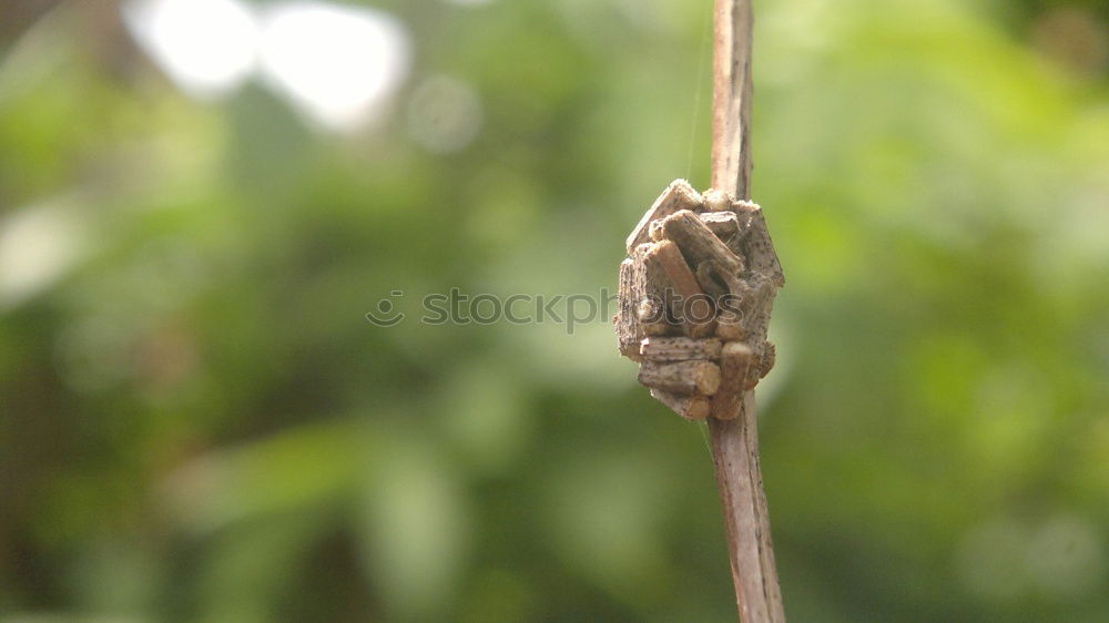 Similar – Image, Stock Photo A piece of wood…