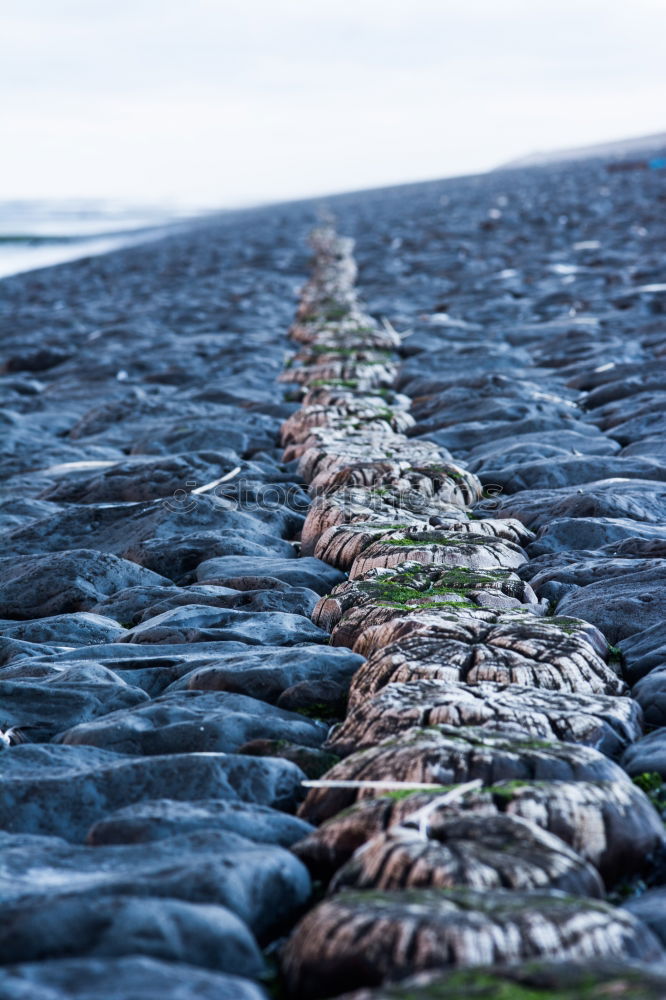 Similar – Foto Bild Hiddensee l leichtes Plätschern