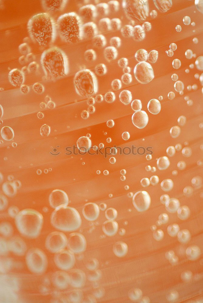 Similar – Image, Stock Photo colour your life #14 Water