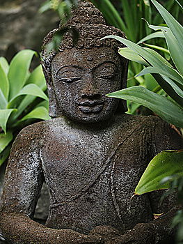 Similar – Image, Stock Photo Buddha Nature Plant Grass