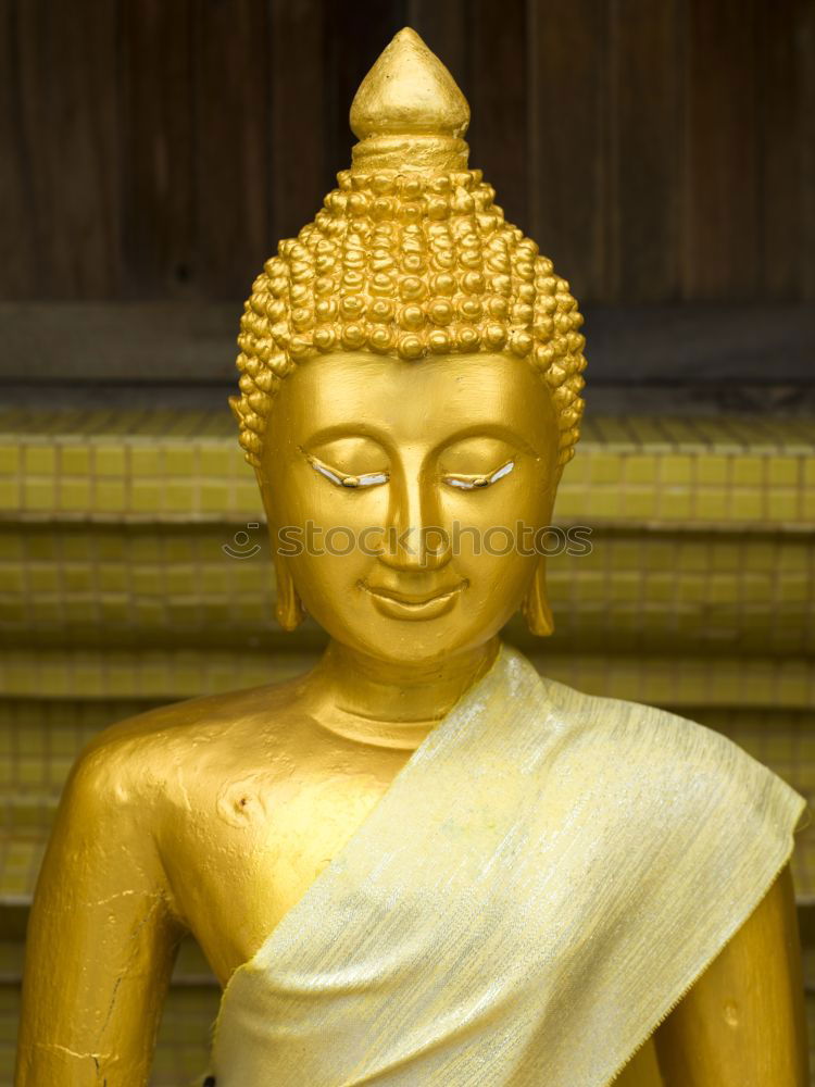 Similar – Image, Stock Photo Buddha Safari Body 1