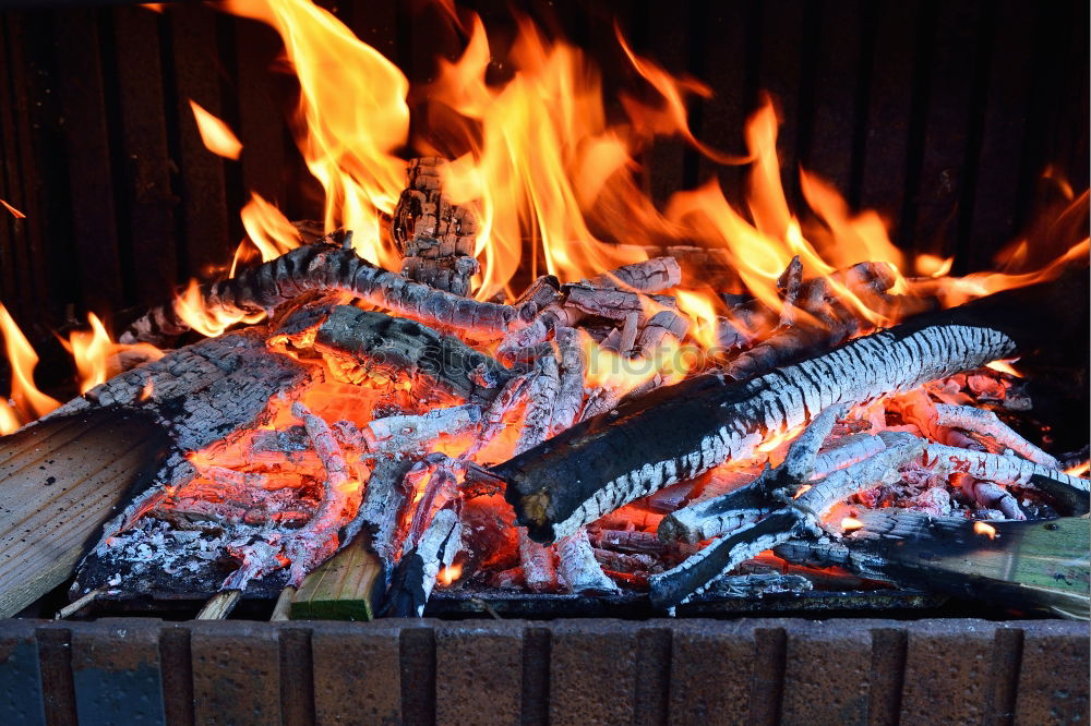 Similar – grillen Grill Grillen heiß