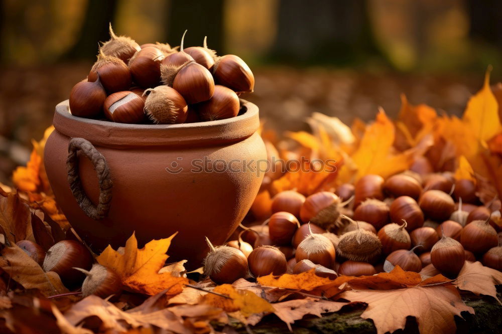 Similar – Image, Stock Photo #AS# Autumn table Art