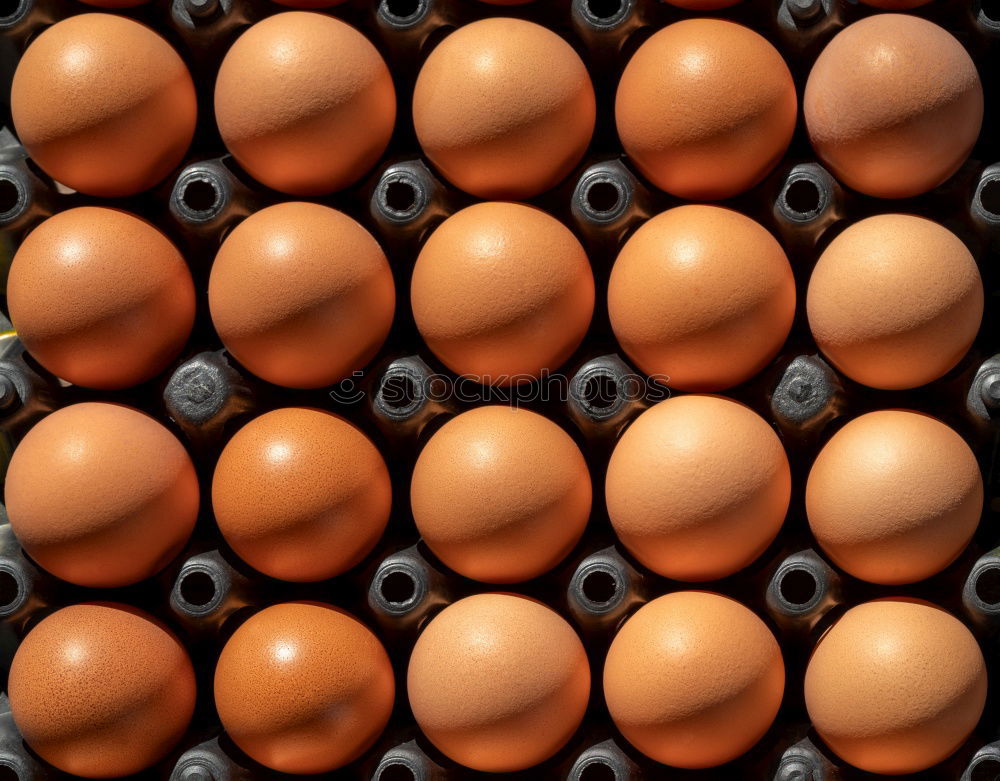 Similar – Image, Stock Photo Egg Egg Egg Egg Egg Egg Egg Egg Egg Egg Egg Egg Egg Egg Egg