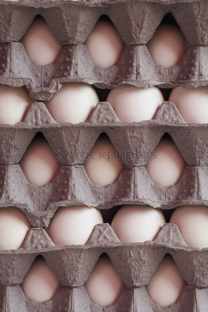 Similar – Image, Stock Photo Egg Egg Egg Egg Egg Egg Egg Egg Egg Egg Egg Egg Egg Egg Egg