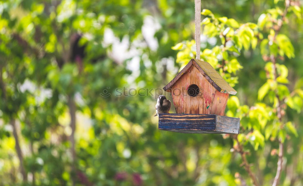 Similar – Image, Stock Photo Bird house on a tree among the green leaves