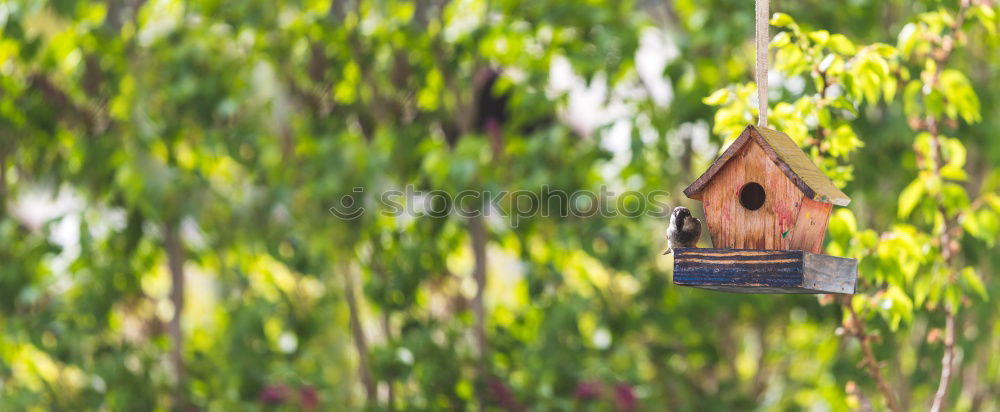 Similar – Image, Stock Photo Bird house on a tree among the green leaves