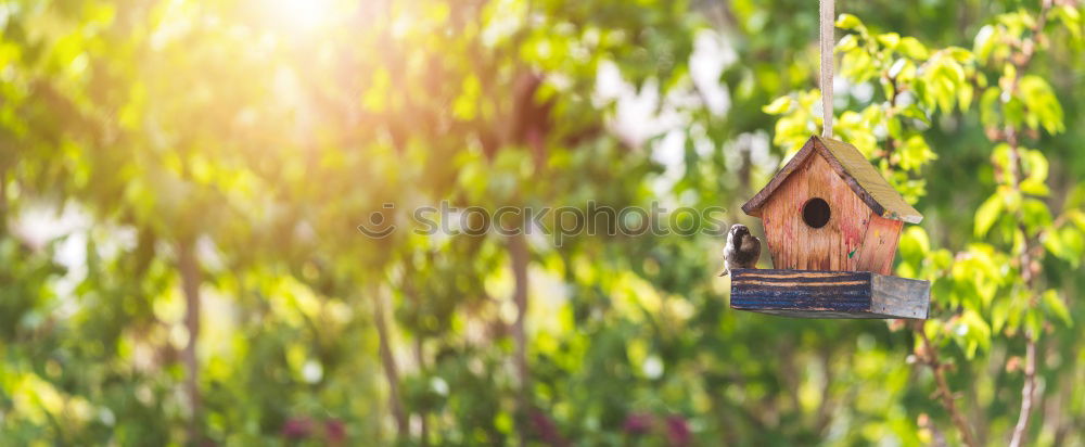 Similar – Image, Stock Photo Bird house on a tree among the green leaves