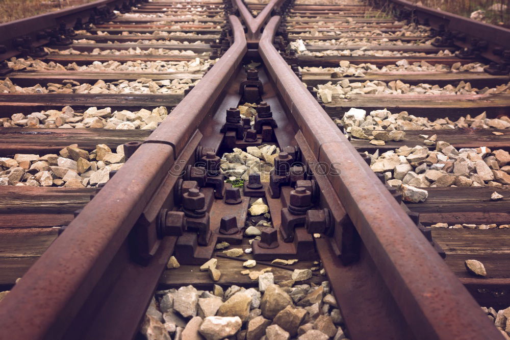 Similar – Image, Stock Photo Vintage suitcase on railway road