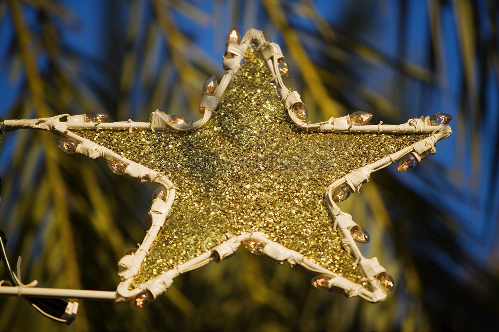 Similar – for christmas! Stars Hang