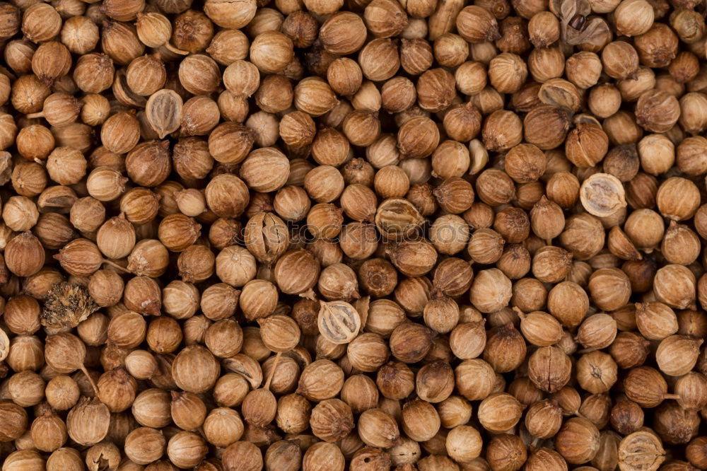 Similar – Image, Stock Photo #A# Nuts Food Nutrition