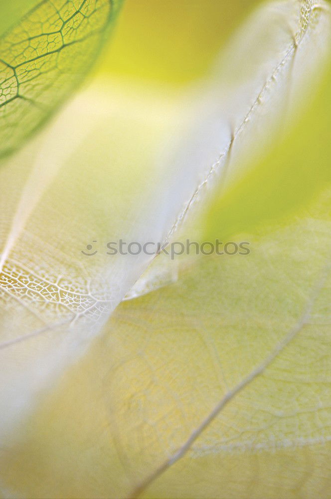 Similar – Foto Bild Wassertropfen Natur