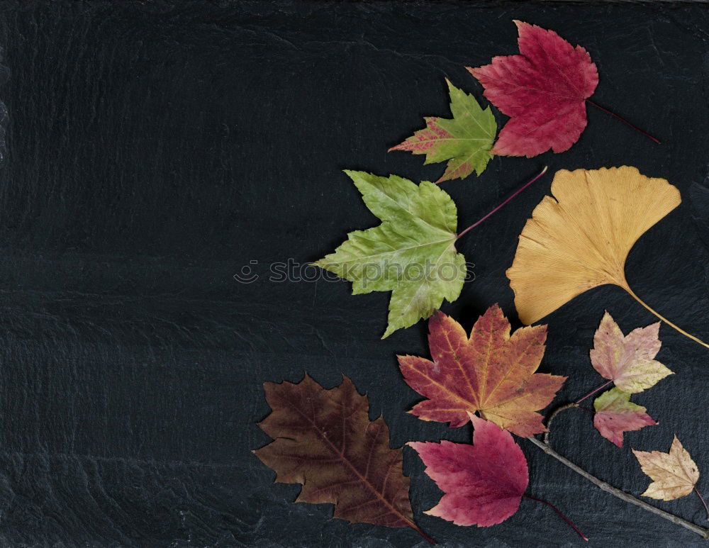 Knitted autumn leaves on brown textile