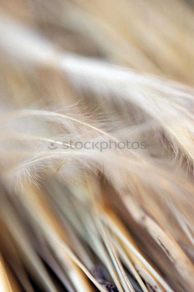 Similar – Image, Stock Photo sinks Kitchen sink