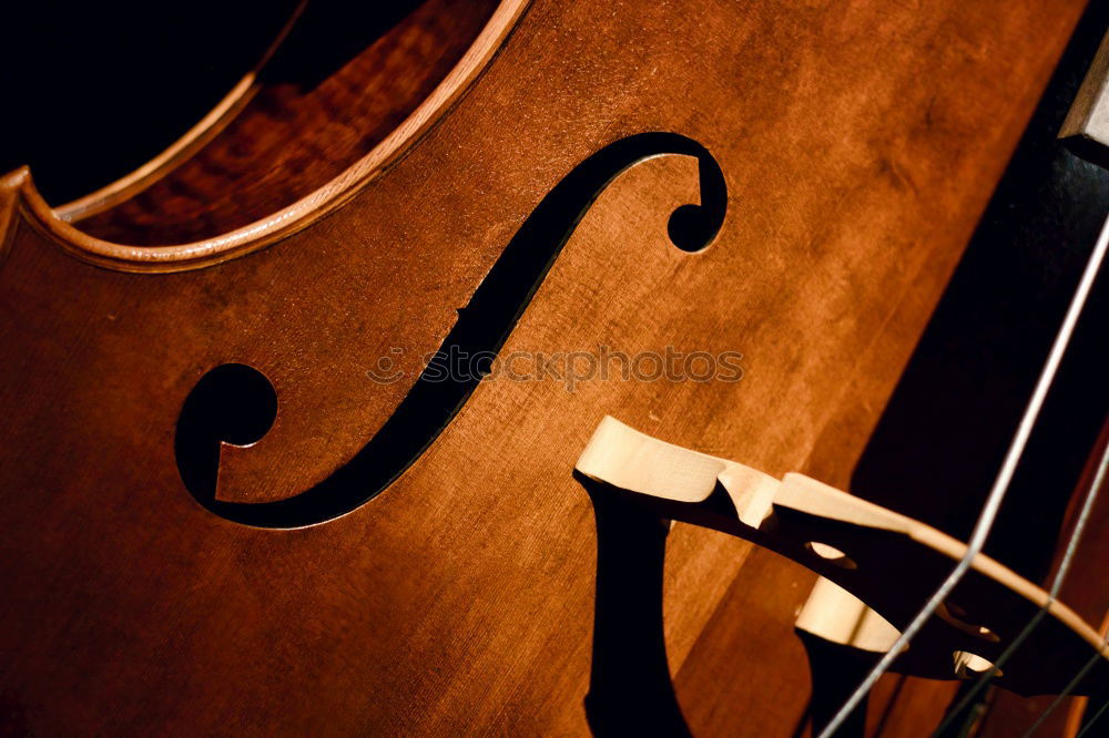 Similar – Image, Stock Photo Violin II Resonator