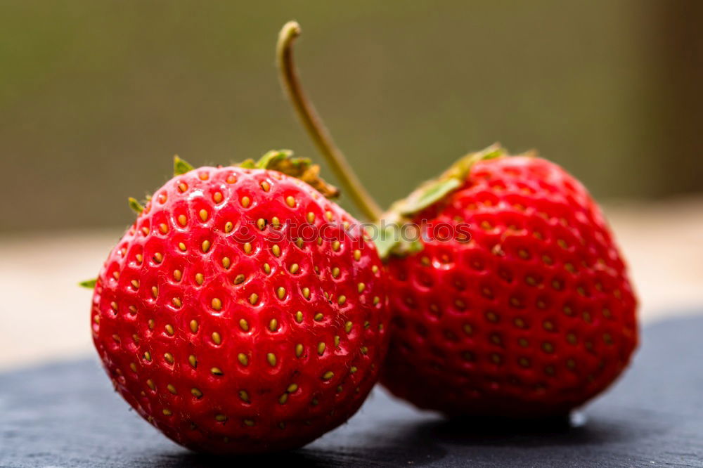 Similar – Bunch of red wild strawberry