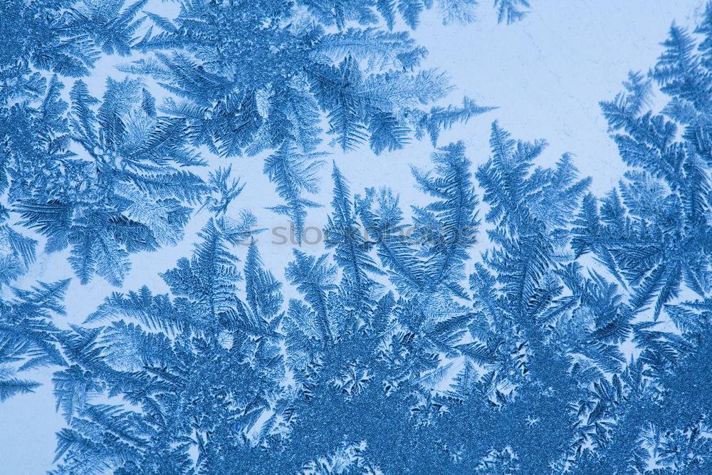 Similar – Image, Stock Photo Blue Sky Well-being