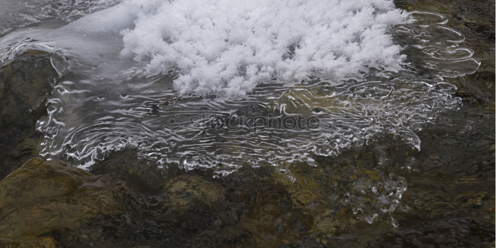 Similar – Spiegelung auf Glas im eigenen Land