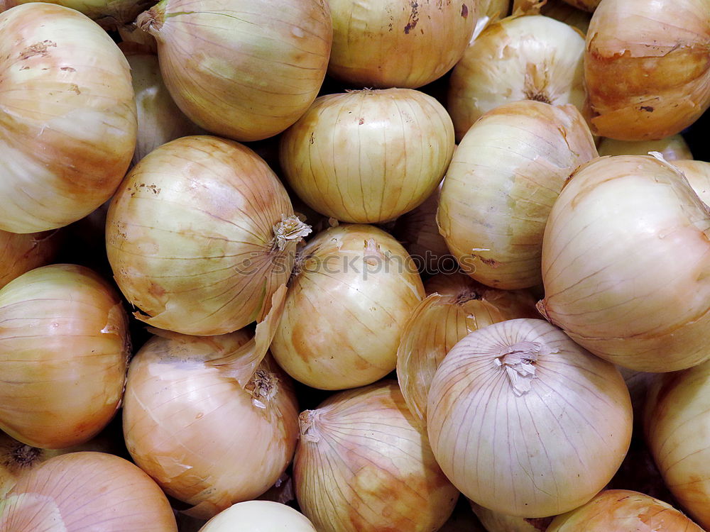 Similar – Knoblauch Lebensmittel