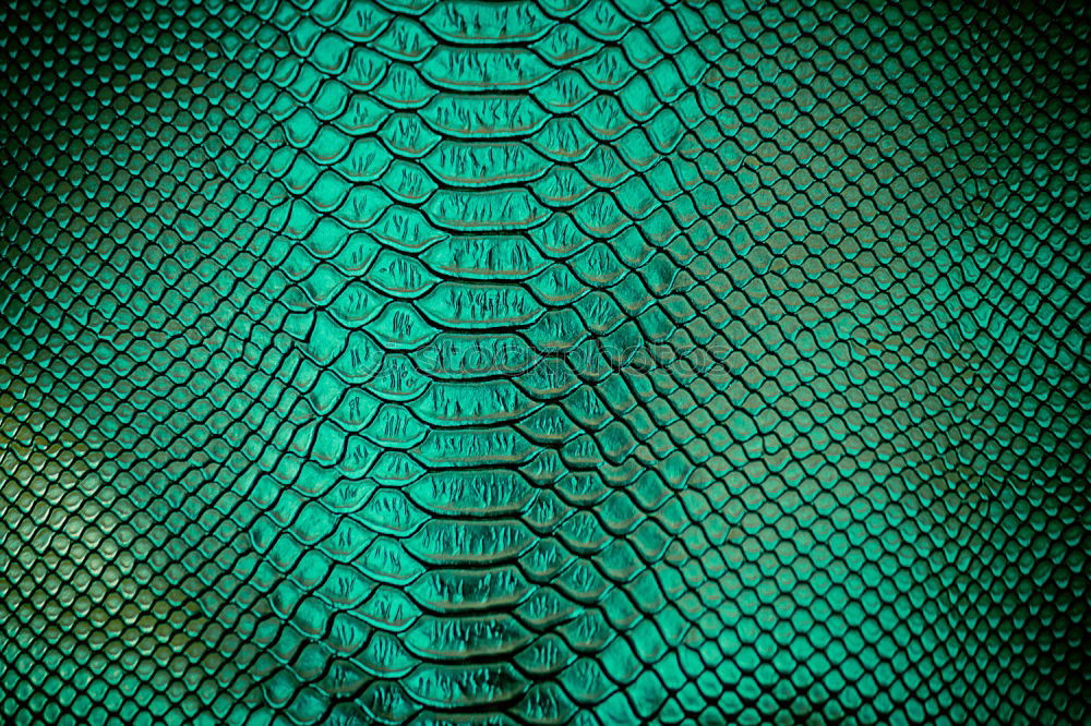 Foto Bild fäsch Lifestyle elegant