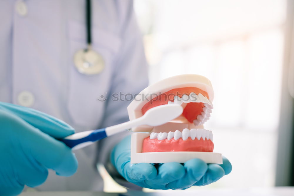 Similar – Image, Stock Photo Dental model of jaw.