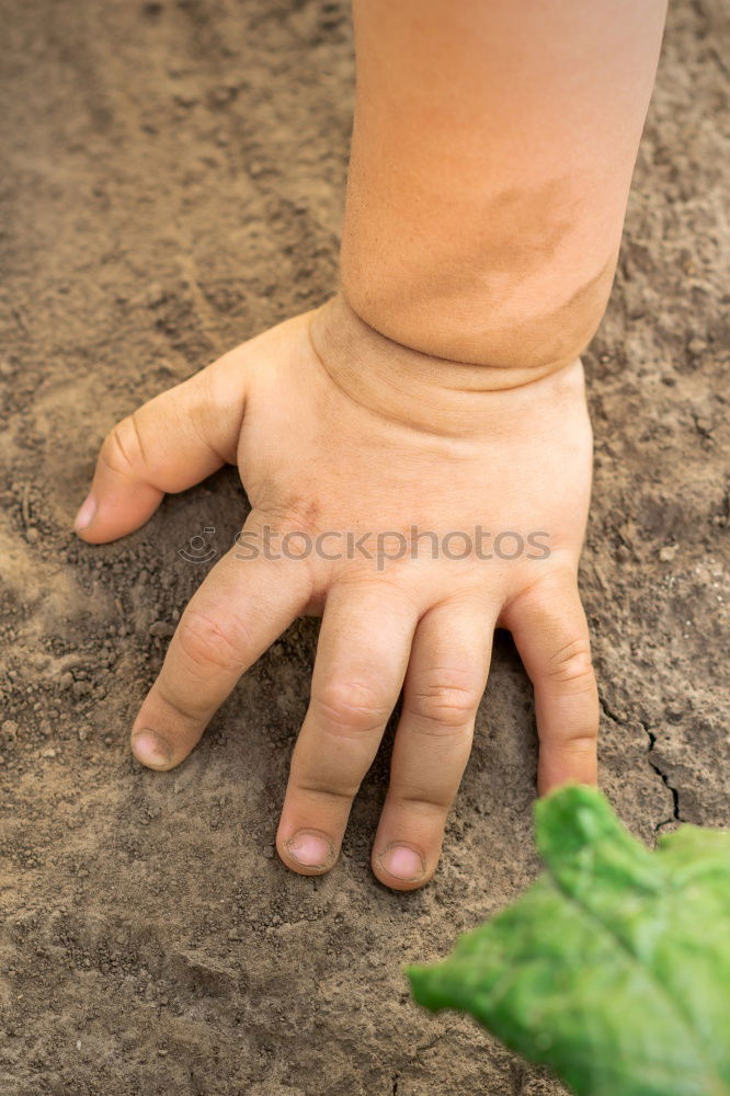 Similar – Image, Stock Photo Children’s hands with gloves planting potatoes