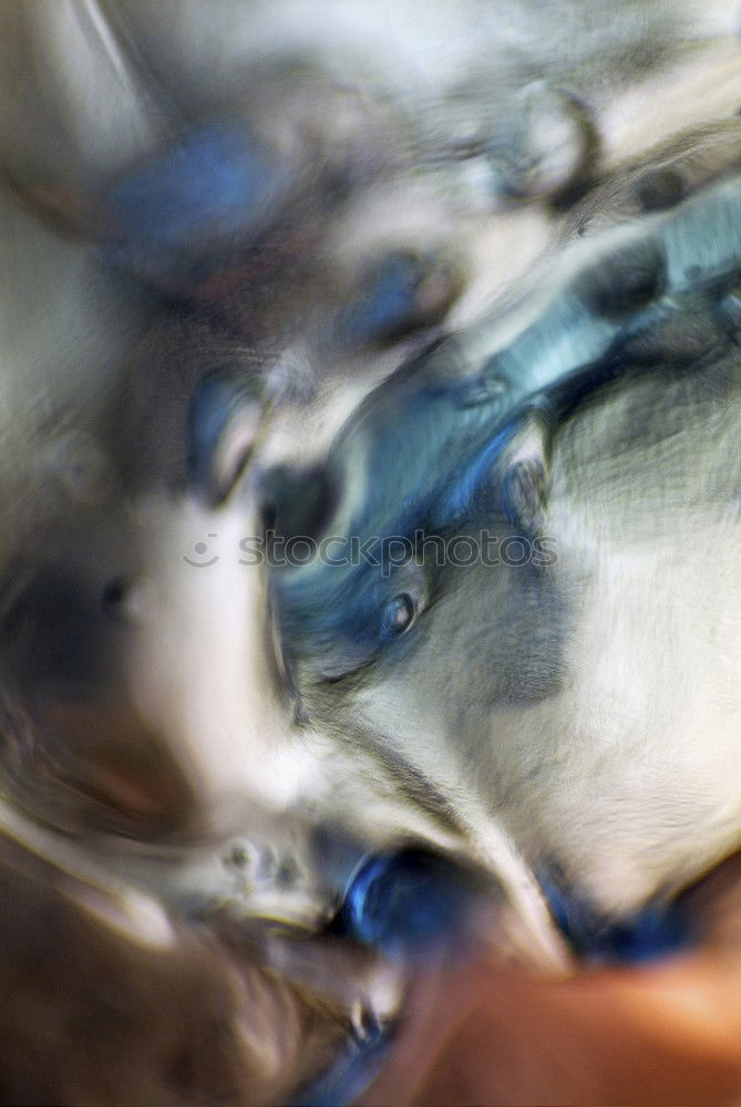 Image, Stock Photo Embarrassing? Naked snail sex