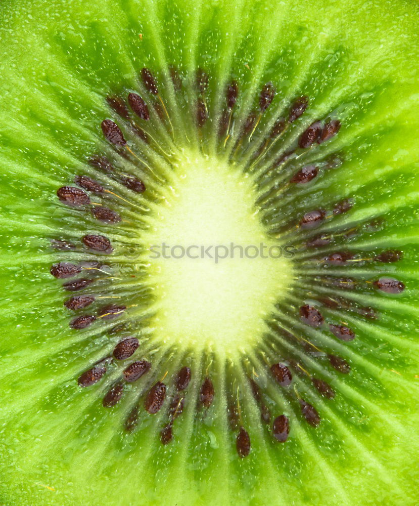 Similar – Image, Stock Photo kiwi Zack! Art Work of art