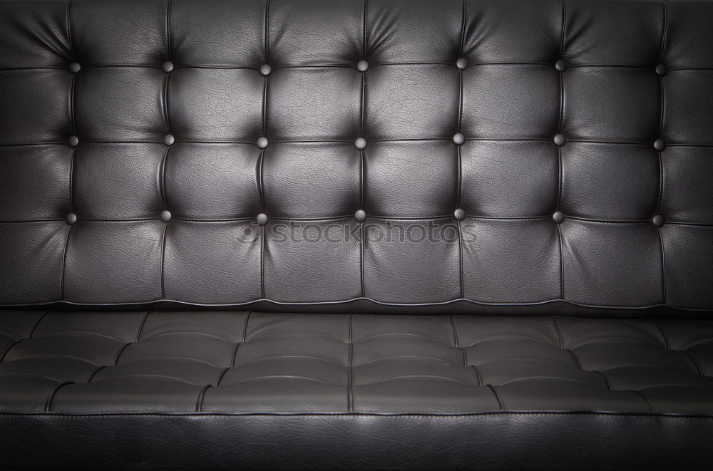 Similar – Image, Stock Photo Freud 2006 Sofa Relaxation