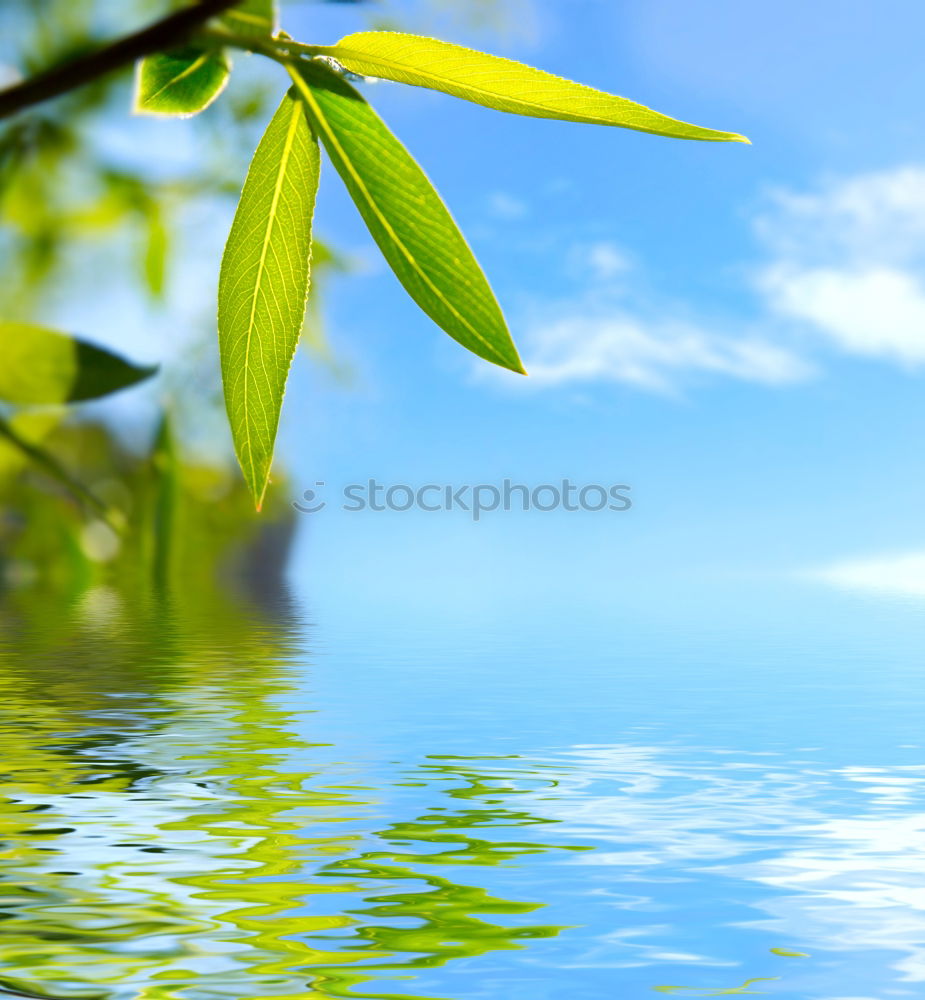Similar – Foto Bild verweile… harmonisch