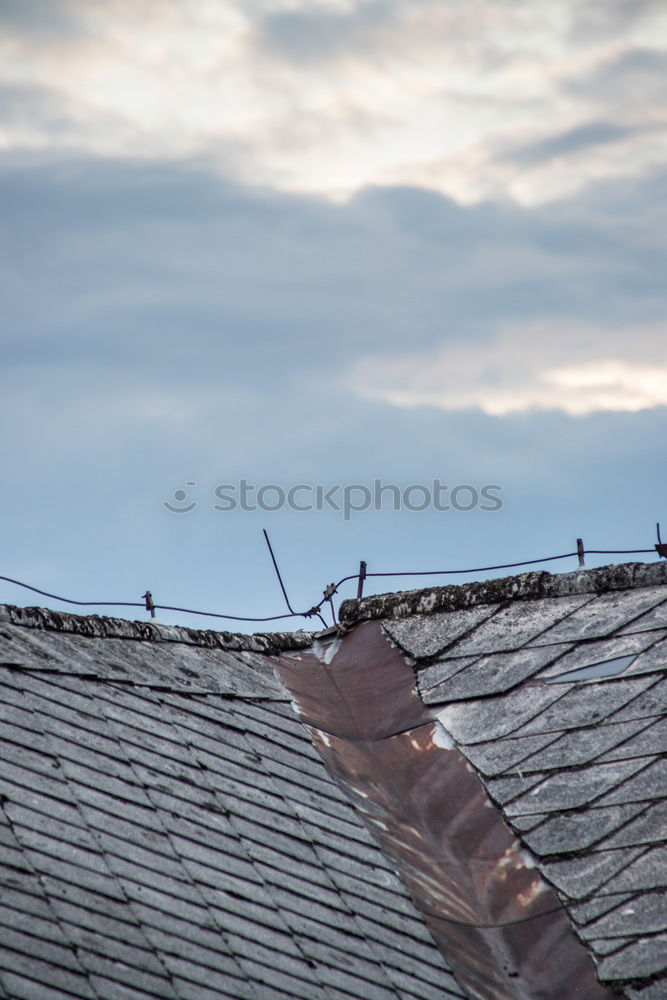 Similar – Image, Stock Photo Allotments I Environment