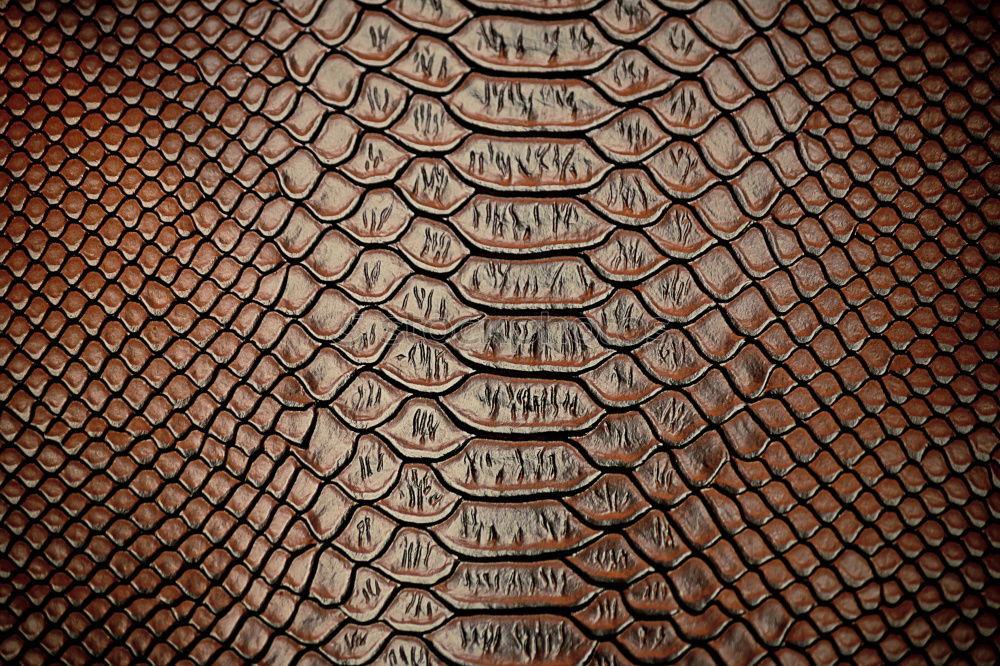 Similar – Image, Stock Photo detail of roofs, luang prabang-laos