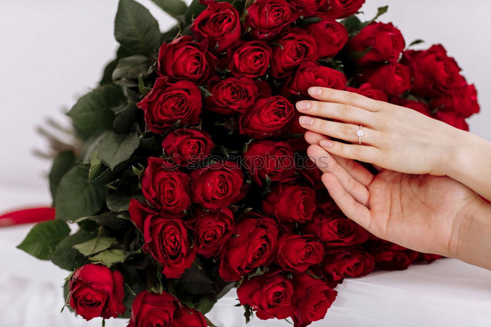 Similar – Image, Stock Photo young woman holding bouquet of red roses in her hands, valentines day, mother’s day, gift