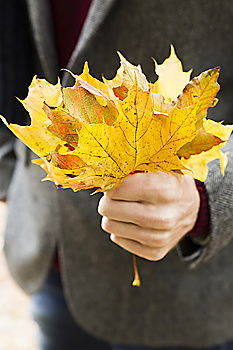 Similar – Image, Stock Photo Hand holding a leaf Nature