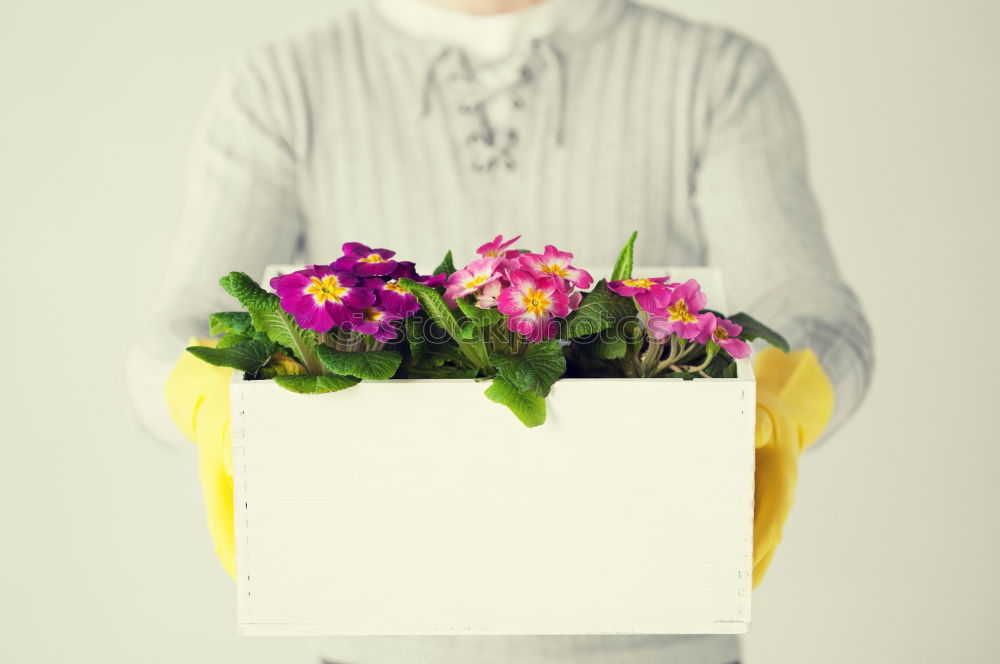 Image, Stock Photo Portrait of woman holding bouquet of flowers